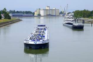 TMS Macan, ENI 02326056, und GMS Calypso, ENI 04027510, rheinaufwrts in Wartestellung vor der Staustufe Vogelgrn/Elsa, Juni 2025