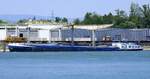 GMS Isala, ankert im Rheinhafen von Neubreisach (Neuf-Brisch) im Elsa, L=86m, Tonnage 1602t, 1200 PS, Baujahr 1996, gemeldet in Ouderkerk/NL, Juni 2025