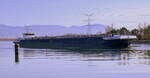 TMS Conquest, rheinabwrts in Wartestellung vor der Staustufe Vogelgrn/Elsa, L=125m, Tonnage 4030t, 2400 PS, Baujahr 2005, Heimathafen Rotterdam, Mrz 2025