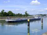 TMS Thunersee, vor der Staustufe Vogelgrn/Elsa, L=110m, Tonnage 2630t, 2x750 PS, Baujahr 2017, gemeldet in Hamburg, Mai 2025