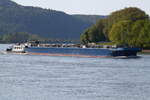 Schubverband bestehend aus dem Schubboot OTTO (ENI: 02338269) und dem Tankschubleichter CHEMGAS 21 (ENI: 02723952) rheinaufwrts am 30.04.2025 bei Andernach.