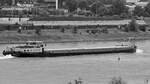 Das Gütermotorschiff BENLOVE (ENI: 1823388) war Ende Mai 2025 auf dem Rhein bei Duisburg unterwegs.