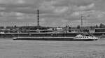 Das Gütermotorschiff ZONGA (ENI: 06105622) fährt den Rhein hinauf, so gesehen Ende Mai 2025 in Duisburg.