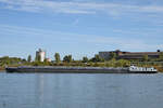 Das Tankmotorschiff BOHEMIA (ENI: 04804100) habe ich Ende September 2025 in Duisburg abgelichtet.