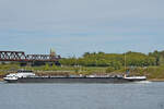 Das Tankmotorschiff GITTE (EIN: 02337099) fhrt den Rhein hinauf.