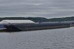 Leichter REYA; ENI 06105613; L 81,99 m; B 11,45 m, gesehen auf dem Albert Kanal, whrend einer Bootstour nach Lttich.