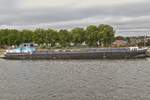 Gtermotorschiff EXAUDI, ENI 06000383; BJ 1965; L 55 m; B 6,60; t 646; aufgenommen auf dem Albert Kanal am Ufer liegend.