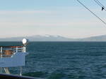Mit MS Albatros, IMO 7304314, am 30.06.2013 vor der Sdkste von Island.