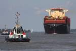 Containerschiff MSC IDANIA; Eigner/Betreiber: MSC; Aufnahmeort: Elbe/Hafen Hamburg, Deutschland; Datum: 03.06.2025; Info:  (IMO 9962562, MMSI 636023021).