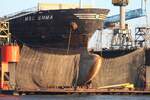 Containerfrachtschiff MSC EMMA; Eigner/Betreiber: MSC; Aufnahmeort: Elbe/Hafen Hamburg, Deutschland; Datum: 12.02.2014; Info: (IMO 9463047) Geschwindigkeit 19 Knoten.