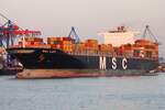 Containerfrachtschiff MSC LUCY; Eigner/Betreiber: Hapag-Lloyd; Aufnahmeort: Elbe/Hafen Hamburg, Deutschland; Datum: 29.03.2011; Info: (IMO 9289104 / MMSI 371059000).