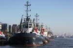 Schlepper VB BEAR (IMO 9701982); Eigner/Betreiber: Boluda/L&R; Datum: 20.01.2026; Aufnahmeort: Elbe/Hafen Hamburg, Deutschland