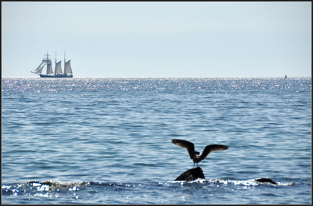 . An der Ostsee - Aufgenommen bei Sassnitz, 21.08.2011 (Jonas)