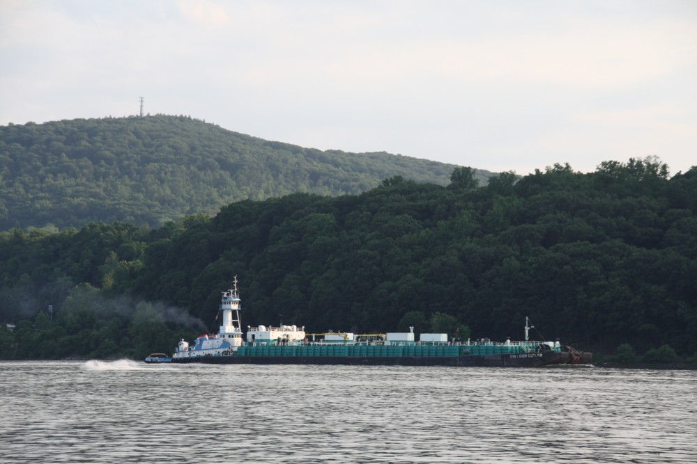 28.6.2012 Hudson River bei Cold Spring, NY.  Eva Leigh Cutler  norwrts.