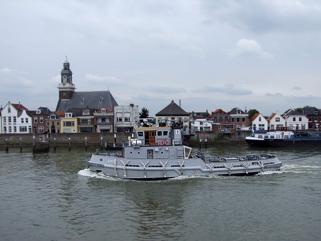 A875-Regge im Bereich von Kinderdijk;100902