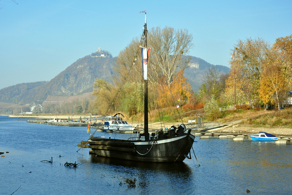 Aalschokker  Aranka  im Altrheinarm bei Bad-Honnef. Das 1917 gebaute Boot war fr die Aalfischerei im Rhein eingesetzt und bot 4 Personen Platz. Das restaurierte Schiff steht unter Denkmalschutz. Im Hintergrund ist der Drachenfels (Siebengebirge) zu sehen - 15.11.2011