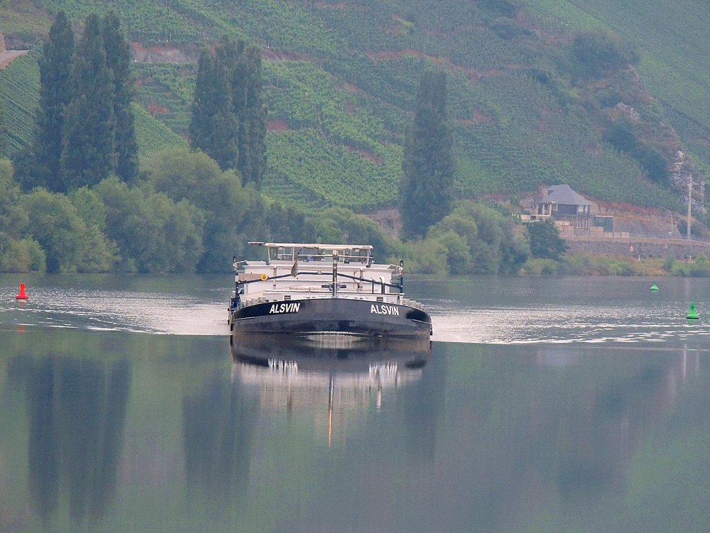 ALSVIN(6004017; L=110; B=11,48; 2634t; 208TEU; Bj.2004)befhrt die Mosel im Bereich Neumagen-Drohn;120824