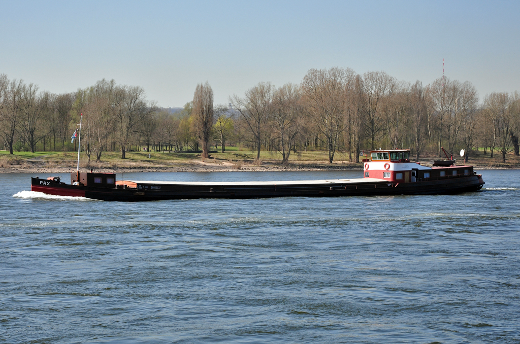 Alter Frachter  PAX  auf dem Rhein bei Bonn-Oberkassel - 26.03.2012