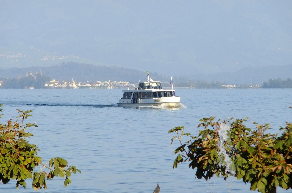 Auf den Querfahrten von Wdenswil nach Mnnedorf und Stfe werden die kleinen Motorschiffe  Forch  oder, wie im Bild auf Kurs 2542 (Stfa - Wdenswil) die  Zimmerberg  eingesetzt. Aufnahme am 19.9.2010 vor Wdenswil. 