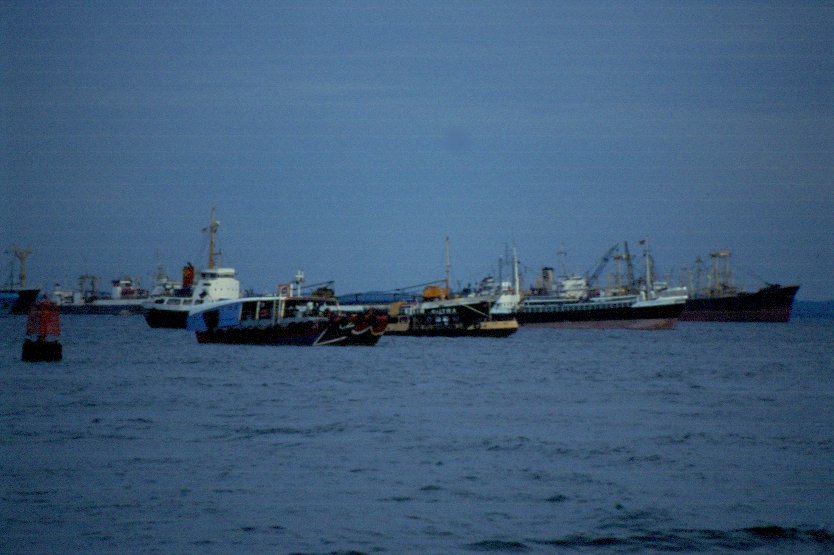 Auf Reede vor Singapur liegen im November 1990 mehrere Frachtschiffe und warten, da sie entladen werden knnen