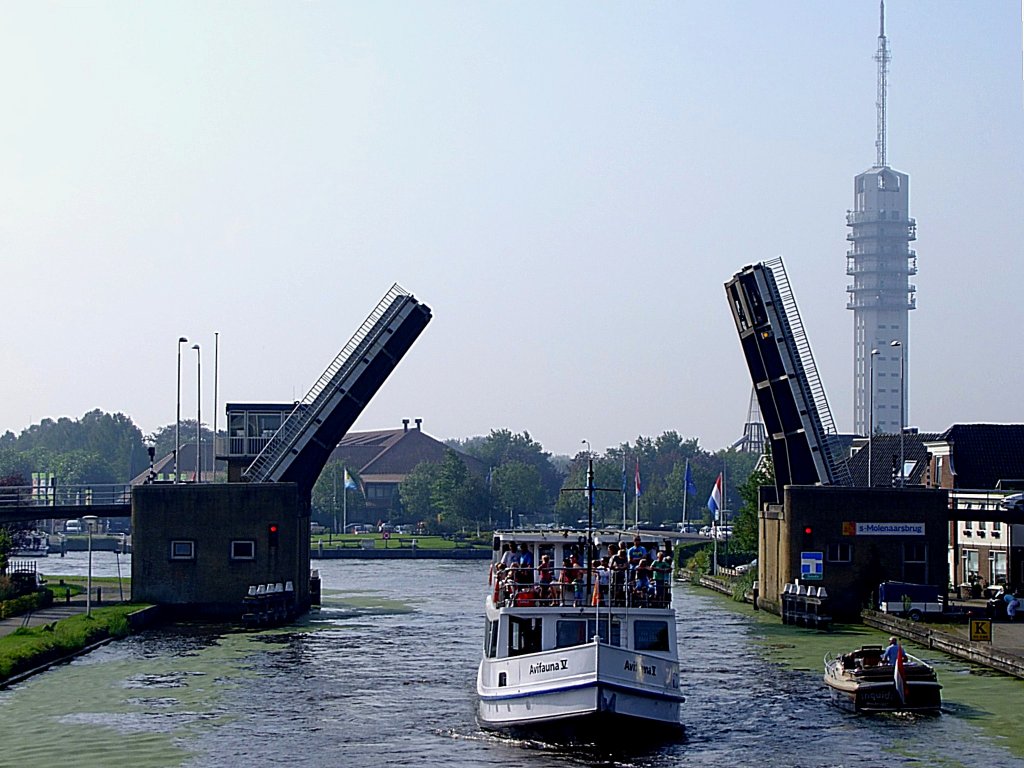 Avifauna-V(Europanr03020378; L=32; B=6m)hat die s-Molenaarsbrug bei Alphen aan den Rijn passiert;110903