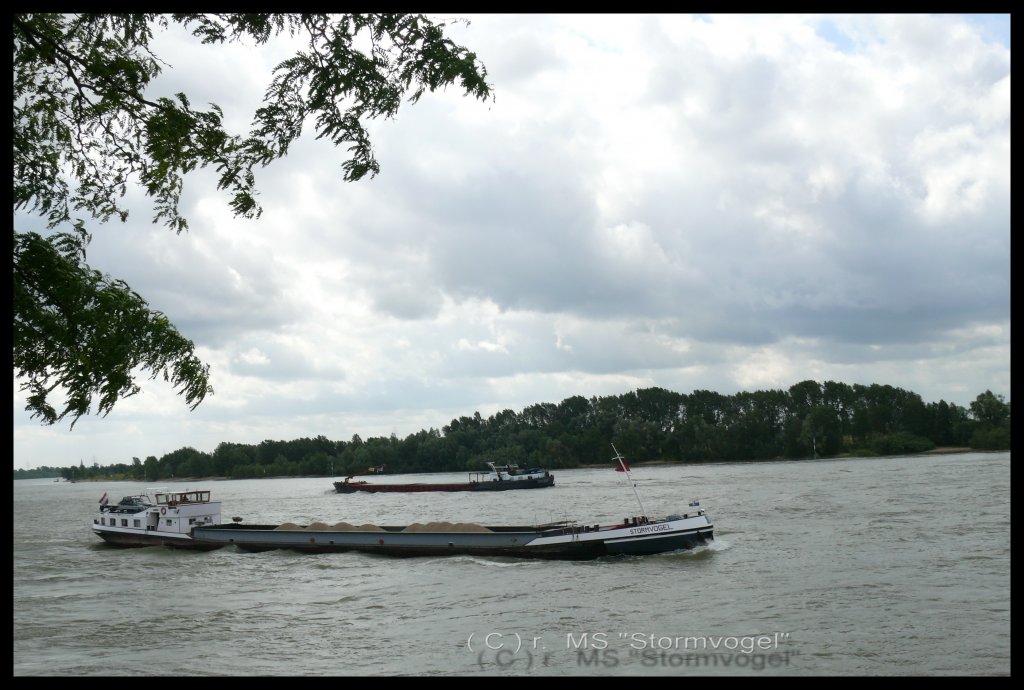 Beunship MS  Stormvogel  aus Niewegein, 2315795, 69,55 x 7,58, vermessen mit 999 Tonnen, Juni 2012 mit Sand auf dem Rhein.