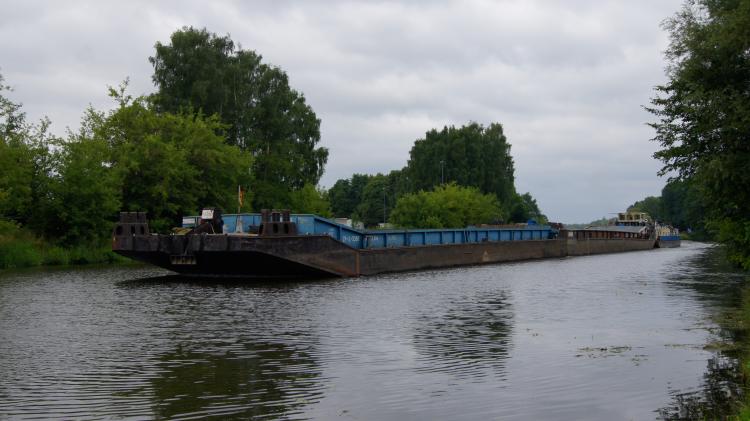 Bizon 131 in der Hohensaaten - Friedrichtaler - Wasserstrae am 14.07.13 um 8:38 in Hhe Lunow, Fahrt in Richtung Hohensaaten