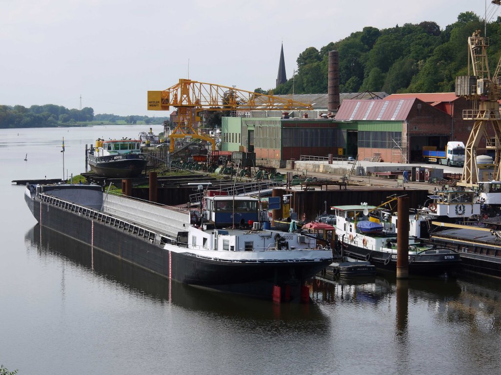 Blick auf das Gelnde der Hitzler-Werft Lauenburg mit den Eisebrechern STIER und BFFEL sowie GMS Jrgen Pascale (04605000); 29.08.2012
