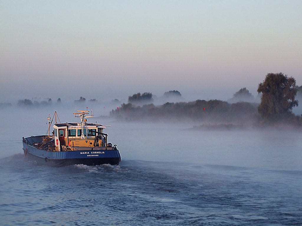 BRU25(Maria-Cornelia) steuert im Morgennebel Richtung Schoonhoven ;100830