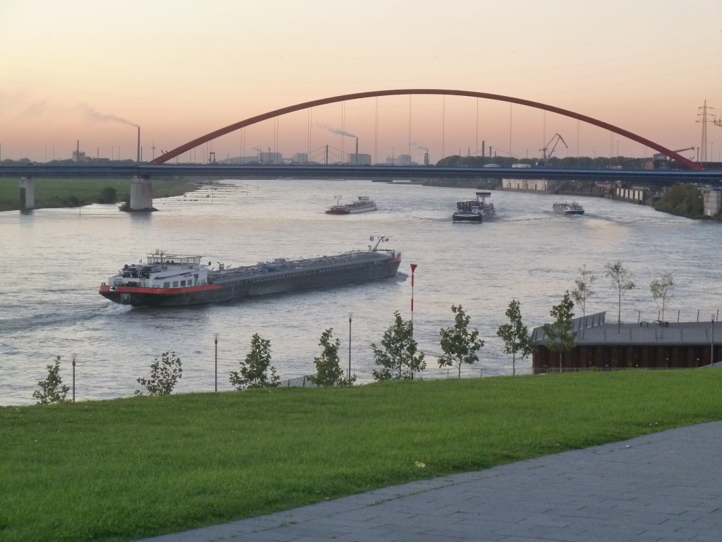  Brcke der Solidaritt  Nach Duisburg-Rheinhausen, fotorafiert vom Rheinpark Duisburg (km 774,5). 