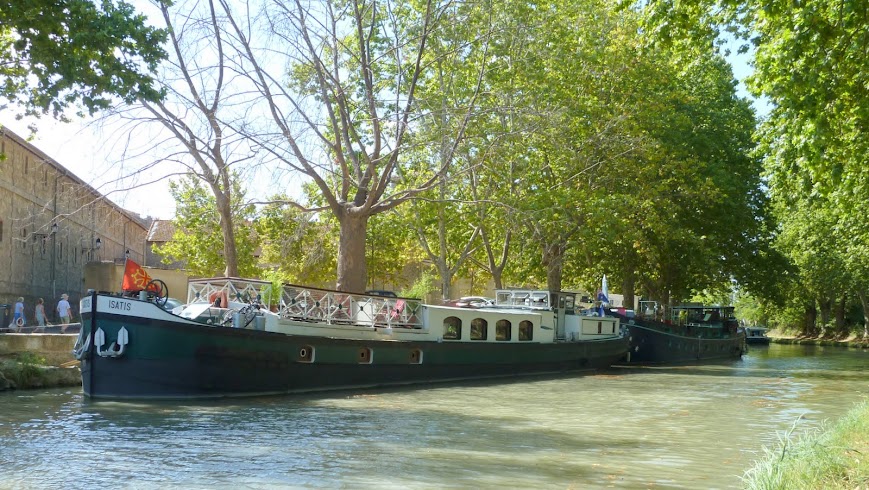 Canal du Midi, stlicher Teil bei Bziers,  Isatis  in Colombiers, 17. August 2011