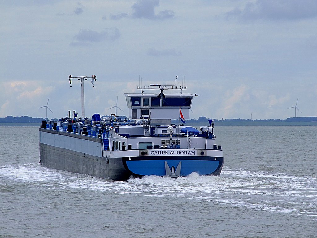 CARPE AURORAM(ENI:2326460; L=135; B=11m; erbaut 2004 von Turnu Severin Shipyard)steuert auf der Westerschelde Richtung Antwerpen;110830