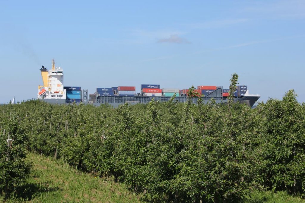 CHARLOTTA B, Container-Feeder von CMA CGM, IMO: 9432232, auf dem Weg nach Hamburg, scheinbar durch die Apfelbume fahrend.
Fotografiert unweit vom Anleger Lhe auf dem Radweg nach Stade am 08.06.2013.