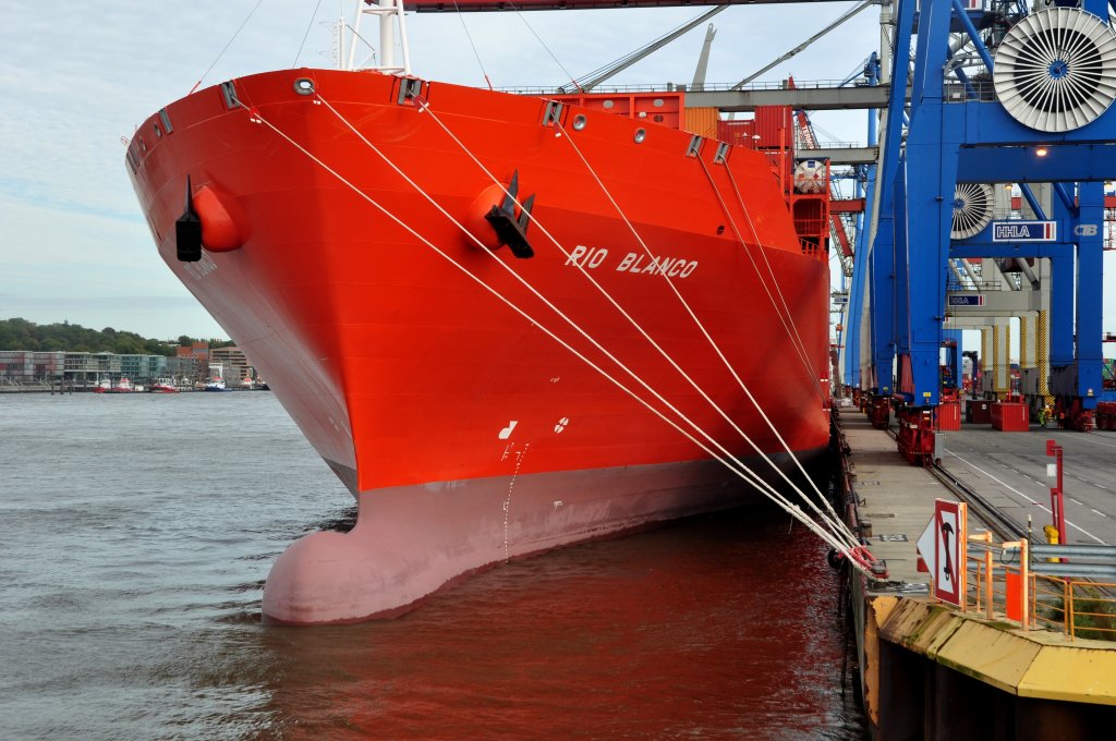 Containerschiff  Rio Blanco  am 5.10.09 in Hamburg.