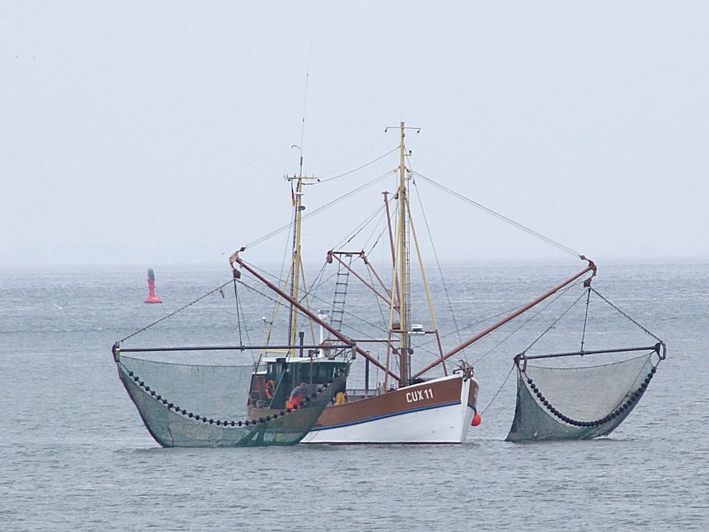 CUX11 holt im Bereich der Grimmershrnbucht bei Cuxhaven seine Netze ein;090825