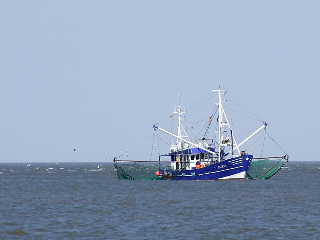 CUX14 wird beim Einbringen der Netze im Bereich der Elbmndung von Mven begleitet;090824