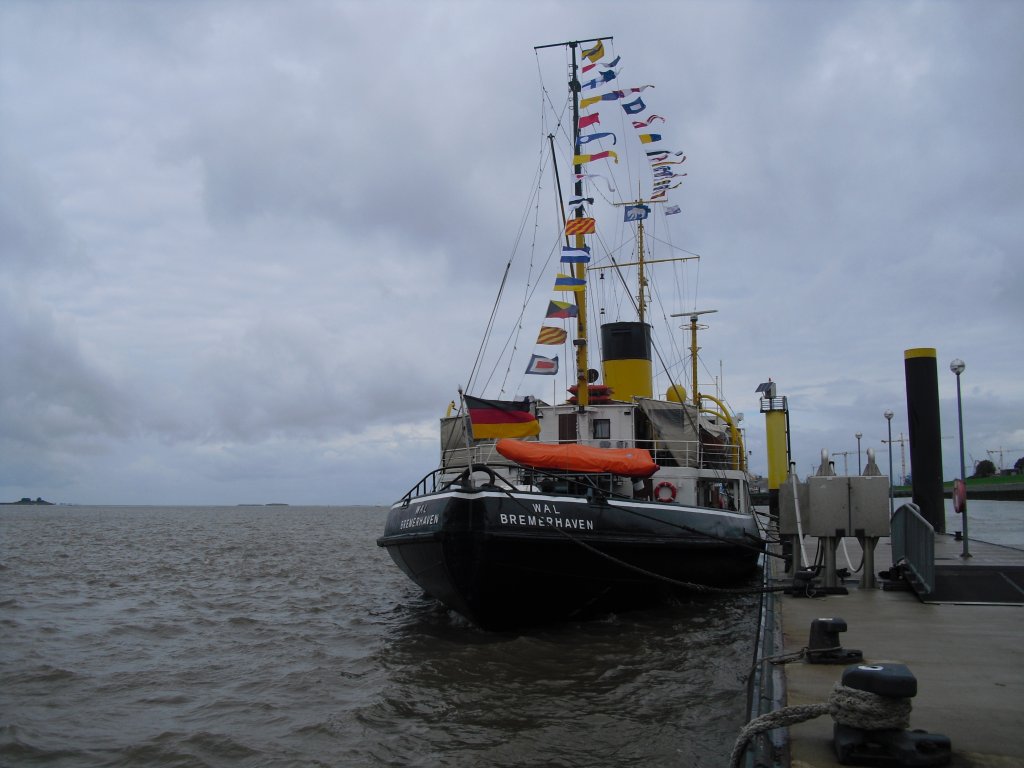 Da liegt der  Wal , ein Dampfeisbrecher. Bremerhaven, 29.08.2010.
(Den hatte ich Süßwassermatrose erst als Hochsee-Dampfschlepper bezeichnet....)
Lieben Dank für die Korrektur!