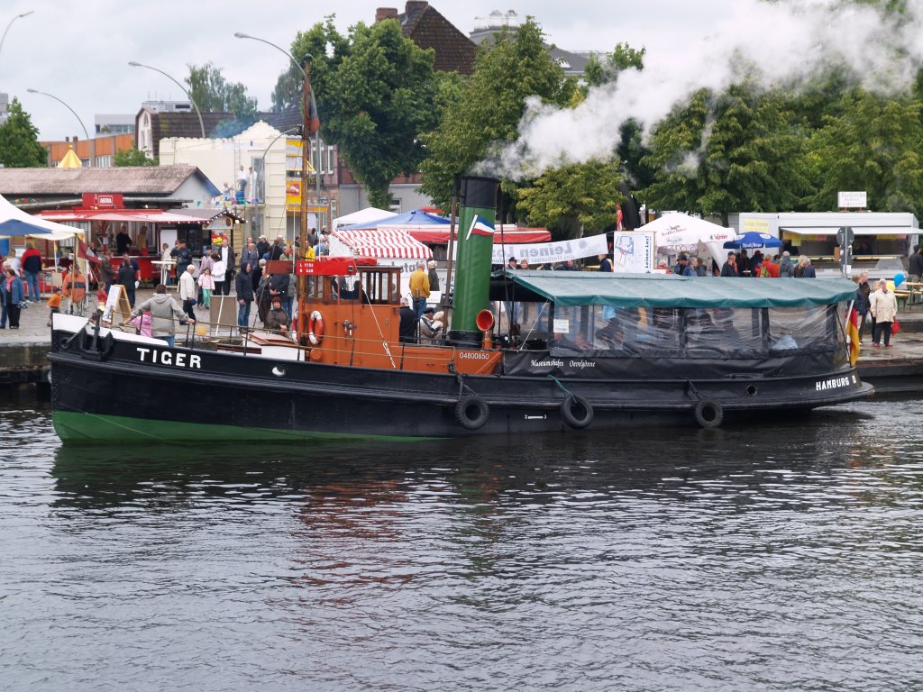 Dampfschlepper Tiger im Hafen Harburg am 7.6.2009