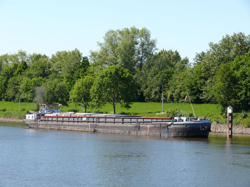 Das Binnenfrachtschiff WEGA I, Ostrhaudergehn, (04026000) von Hamburg kommend dmpelt auf dem Unteren Schleusenkanal Geesthacht am Rande die Elbe aufwrts weil es warten muss bis der Gegenverkehr die Schleuse frei gemacht hat; 03.06.2010
