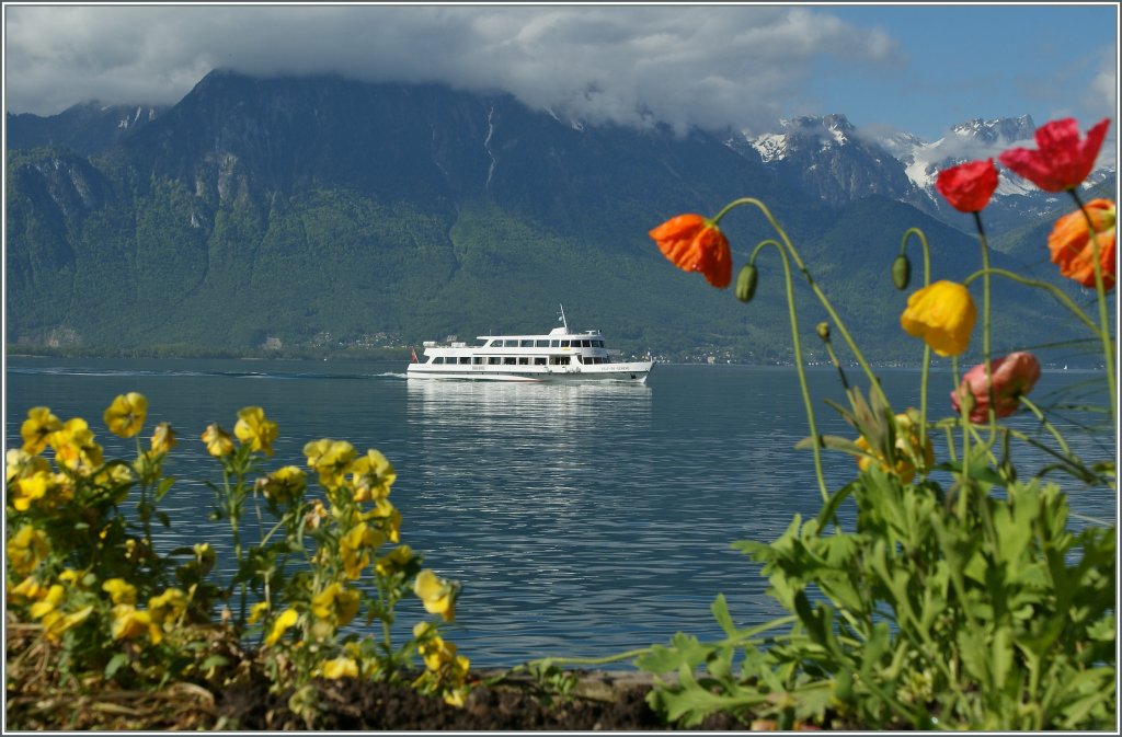 Das Motorpassagierschiff  Ville de Genve  erreicht in Krze die Anlegestelle Montreux.
14. Mai 2013