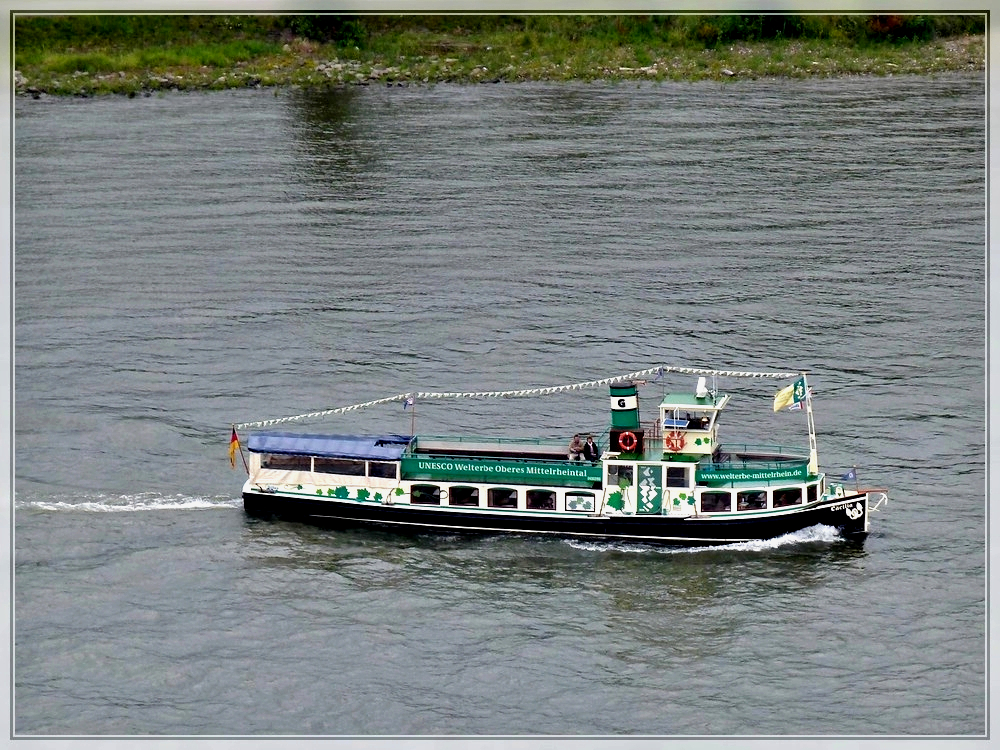 Das Schiff  CCILIA  bei einer Rhein- und Moselrundfahrt in Koblenz, aufgenommen vom Schloss Ehrenbreitstein am 24.06.2011.