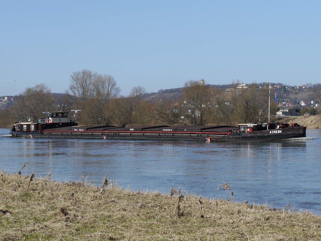 Das tschechische Binnenfrachtschiff ATHENA, Děčn, ENI 08451042 (ex MN 11605, ex Labe 5) Lnge: 79,97 m; Breite: 9,35 m; Tiefgang: 2,40 m ; Tonnage: 1174 t ;  Maschinenleistung: 620 PS (Skoda) ; Baujahr: 1973 ; Bauwerft: Ceske Lodenice, Melnik - die Elbe zu Berg bei Dresden-Gohlis; 16.03.2012 
