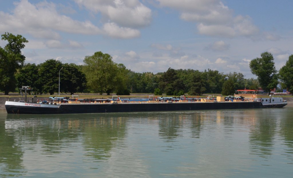 Der zu Berg fahrende Tanker Neptunus auf dem Rhein bei Breisach unterhalb vor der Schleuse am 19.06.2013 beobachtet.