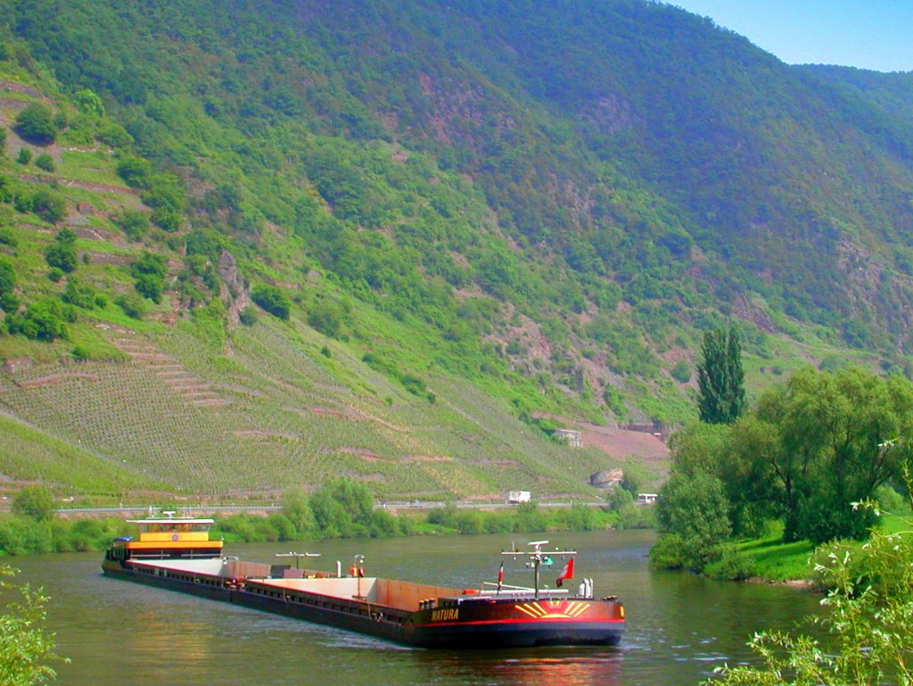 Deutschland, Rheinland-Pfalz, Landkreis Cochem-Zell, Verbandsgemeinde Cochem, bei Ernst, GMS  Matura  auf dem Weg von Trier nach Koblenz, 22.05.2010