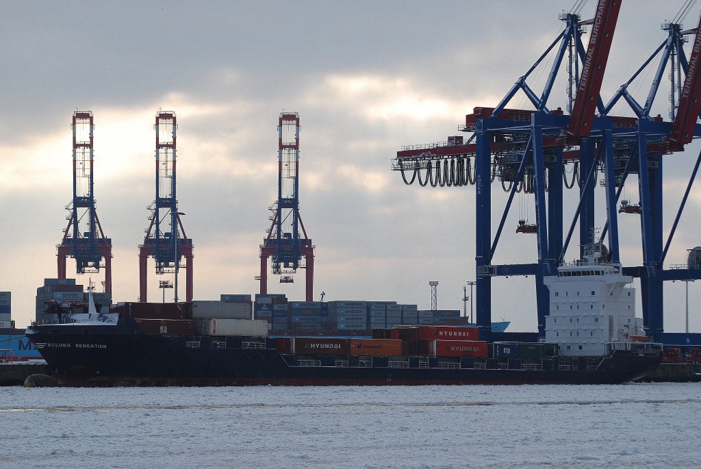 Die Beluga Sensation IMO-Nummer:9255763 Flagge:Gibraltar Lnge:135.0m Breite:22.0m am Burchardkai im Hamburger Hafen am 30.01.10