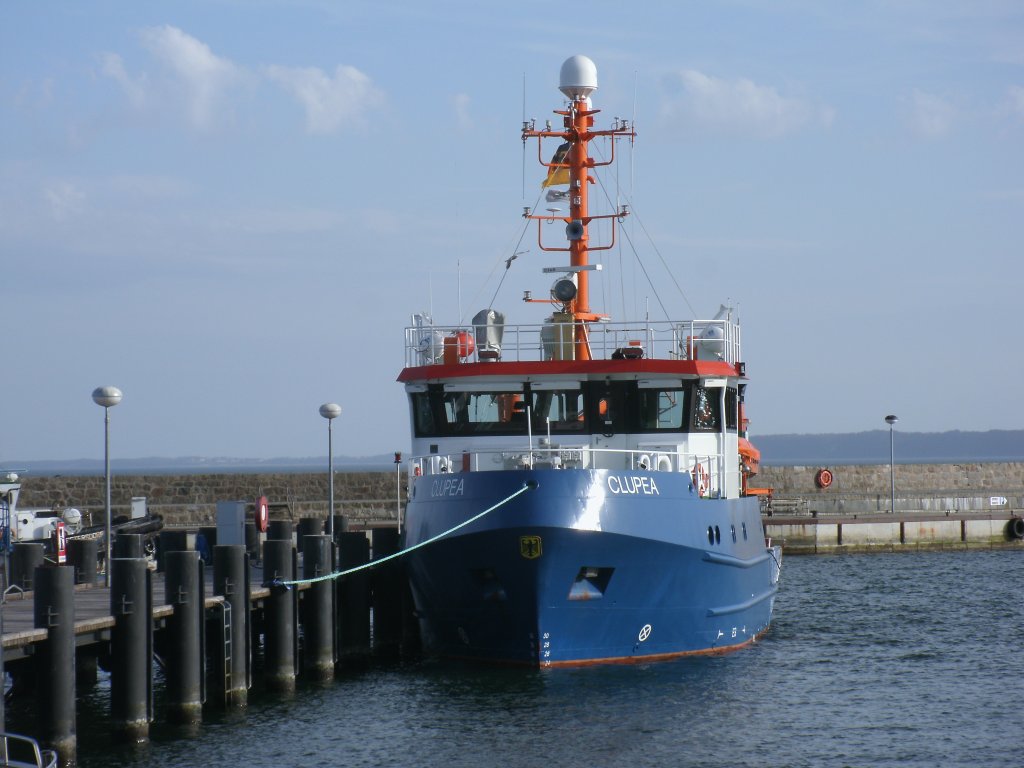 Die  CLUPEA  lag,am 18.April 2013,im Sassnitzer Hafen.