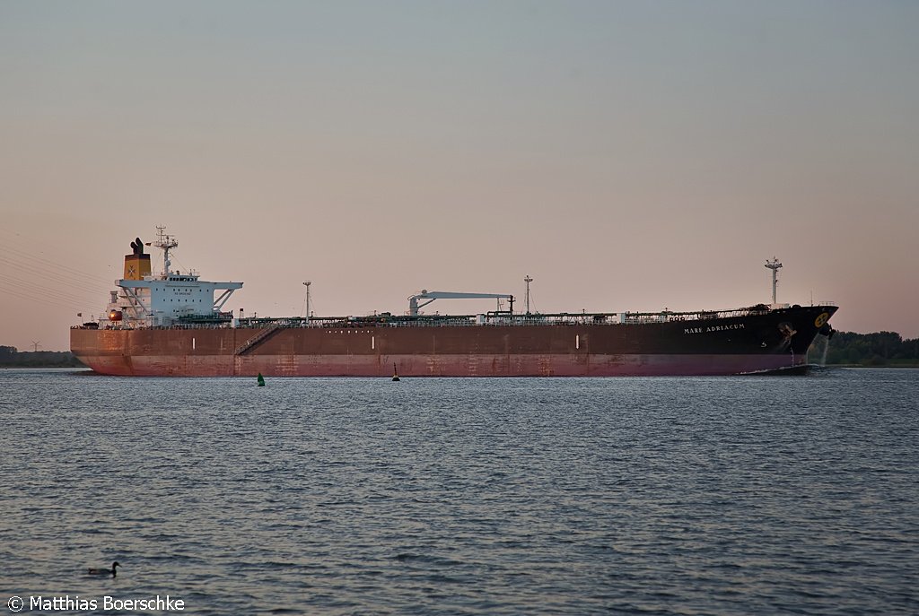 Die Mare Adricum auf der Elbe bei Lhe Sand am 10.05.08.