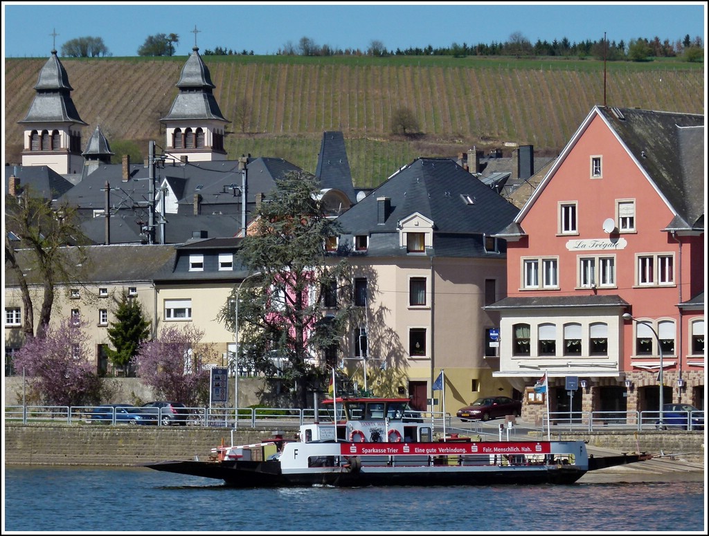 Die Moselfhre Santa Maria  Immo 04808970  pendelt zwischen Wasserbillig und Oberbillig, auf dem Foto legt Sie in krze an der Anlegestelle von Wasserbillig an. 01.04.2012