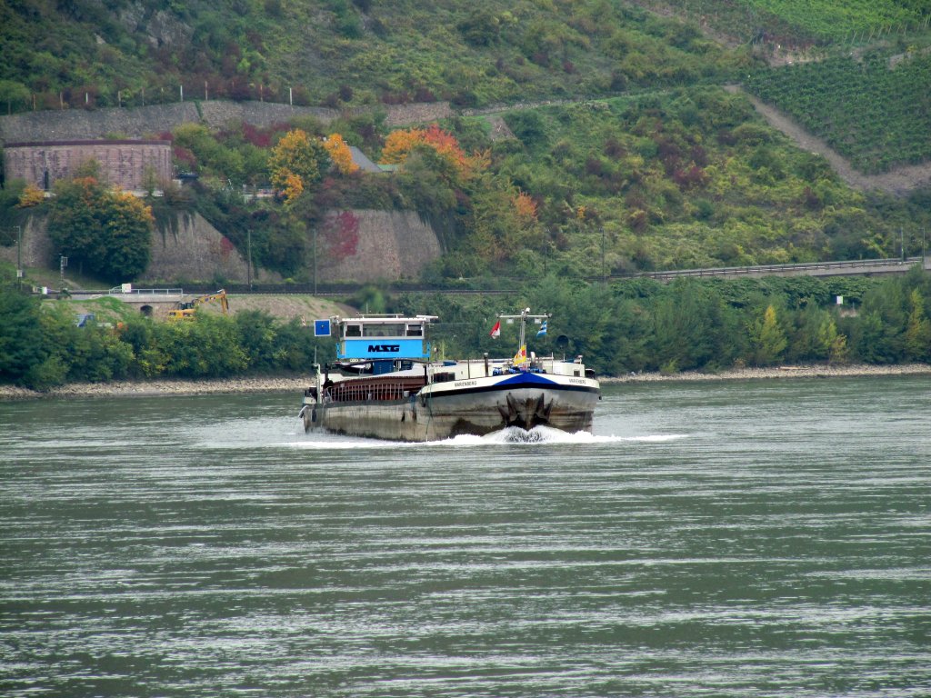Die MS Marienberg am 07.10.2010 auf dem Rhein zu Berg bei Filsen.