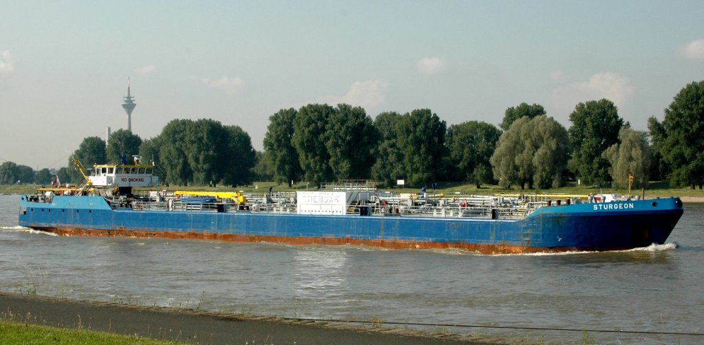 Die MS Sturgeon, ein Gastanker von Chemgas leer auf dem Weg nach Rotterdam. Er passiert gerade die Dsseldorf Altstadt am 21.06.2010.